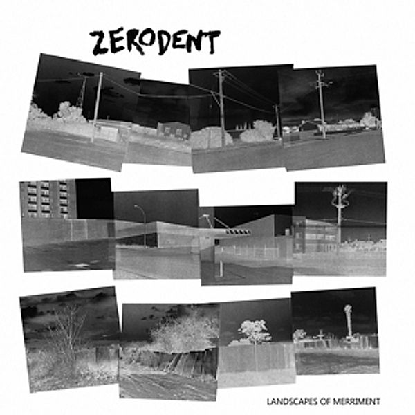 Landscapes Of Merriment (Vinyl), Zerodent