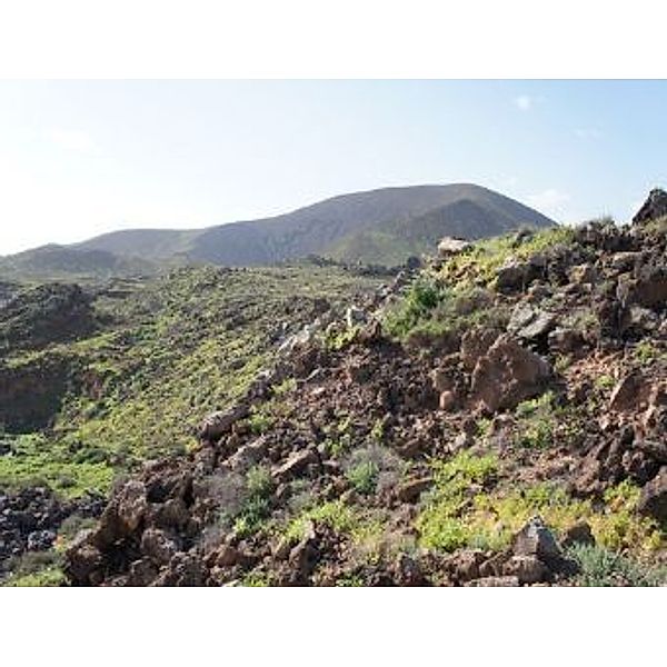 Landschaft Fuerteventura - 2.000 Teile (Puzzle)