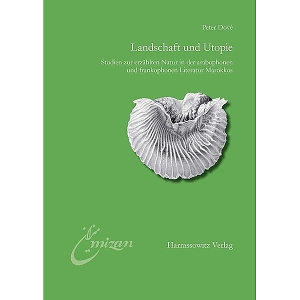 Landschaft und Utopie / Mîzân. Studien zur Literatur in der islamischen Welt Bd.19, Peter Dové