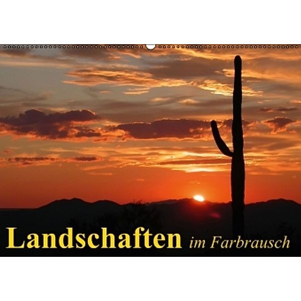 Landschaften im Farbrausch (Wandkalender 2015 DIN A2 quer), Elisabeth Stanzer