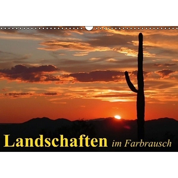 Landschaften im Farbrausch (Wandkalender 2015 DIN A3 quer), Elisabeth Stanzer