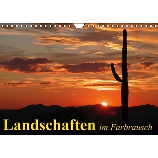 Landschaften im Farbrausch (Wandkalender 2015 DIN A4 quer), Elisabeth Stanzer