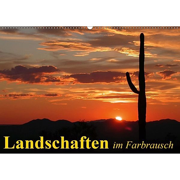 Landschaften im Farbrausch (Wandkalender 2020 DIN A2 quer), Elisabeth Stanzer