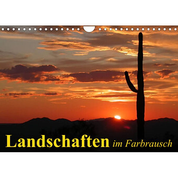 Landschaften im Farbrausch (Wandkalender 2022 DIN A4 quer), Elisabeth Stanzer