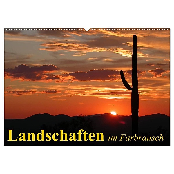 Landschaften im Farbrausch (Wandkalender 2024 DIN A2 quer), CALVENDO Monatskalender, Elisabeth Stanzer