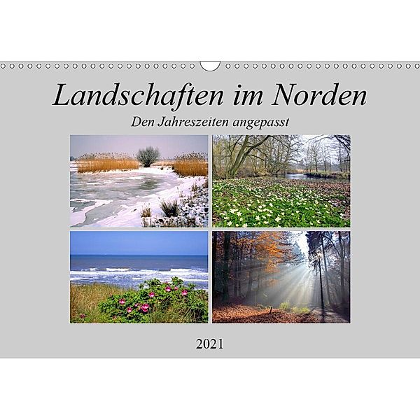 Landschaften im Norden, Den Jahreszeiten angepasst (Wandkalender 2021 DIN A3 quer), Lothar Reupert