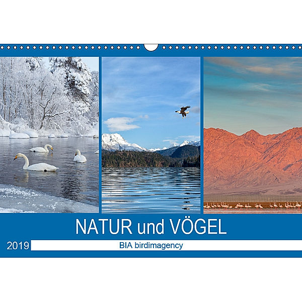 Landschaften und Vögel (Wandkalender 2019 DIN A3 quer), BIA birdimagency