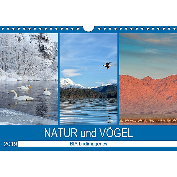 Landschaften und Vögel (Wandkalender 2019 DIN A4 quer), BIA birdimagency
