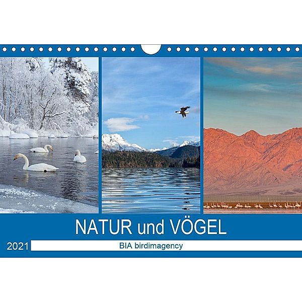 Landschaften und Vögel (Wandkalender 2021 DIN A4 quer), BIA birdimagency