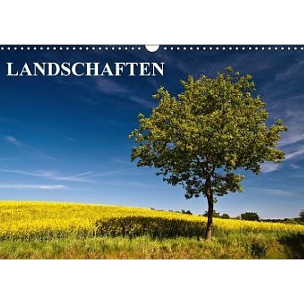 Landschaften (Wandkalender 2015 DIN A3 quer), Rico Ködder