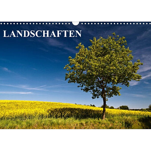 Landschaften (Wandkalender 2022 DIN A3 quer), Rico Ködder
