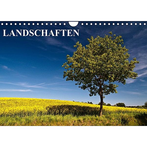 Landschaften (Wandkalender 2023 DIN A4 quer), Rico Ködder