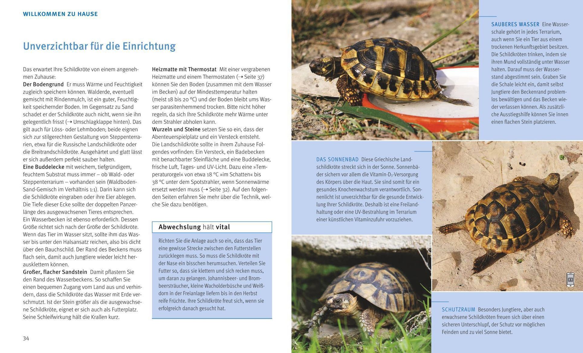 Landschildkröten Buch von Hartmut Wilke versandkostenfrei bei Weltbild.de
