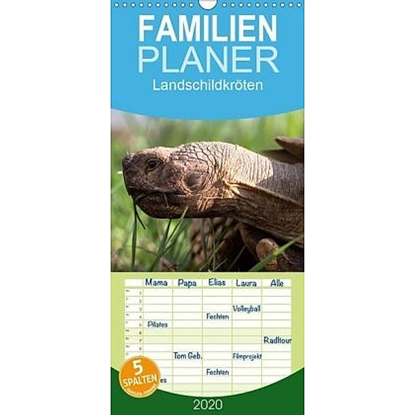 Landschildkröten - Familienplaner hoch (Wandkalender 2020 , 21 cm x 45 cm, hoch), Marion Sixt