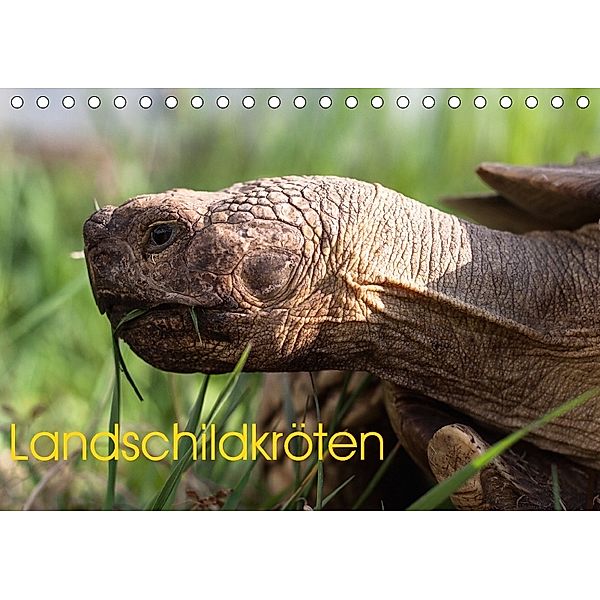 Landschildkröten (Tischkalender 2018 DIN A5 quer), Marion Sixt