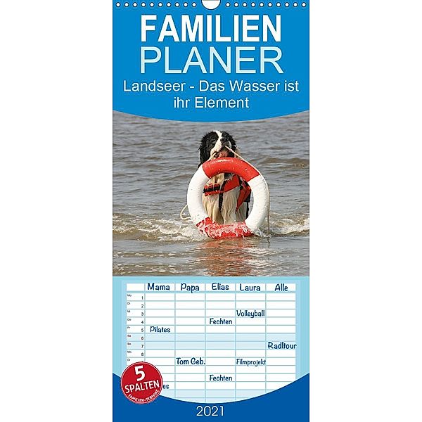 Landseer - Das Wasser ist ihr Element - Familienplaner hoch (Wandkalender 2021 , 21 cm x 45 cm, hoch), Barbara Mielewczyk und Brigitte Weil