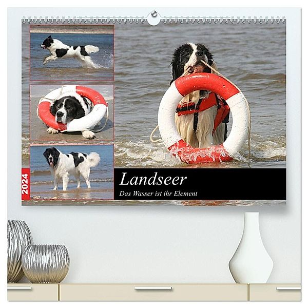 Landseer - Das Wasser ist ihr Element (hochwertiger Premium Wandkalender 2024 DIN A2 quer), Kunstdruck in Hochglanz, Barbara Mielewczyk und Brigitte Weil