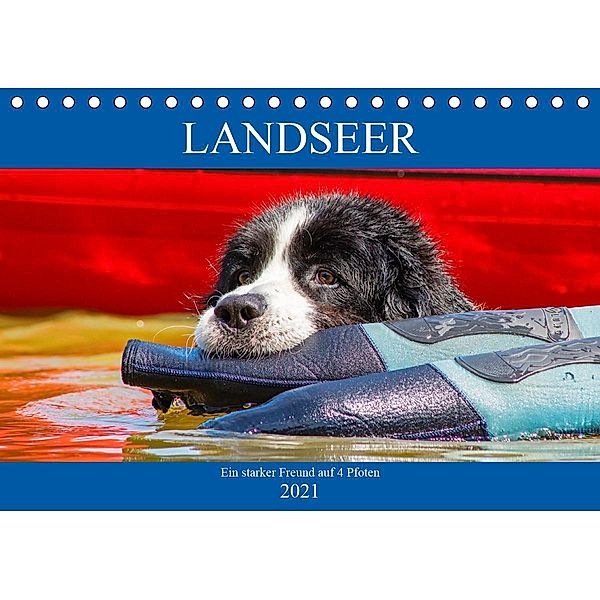 Landseer - Ein starker Freund auf 4 Pfoten (Tischkalender 2021 DIN A5 quer), Sigrid Starick