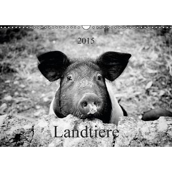 Landtiere (Wandkalender 2015 DIN A3 quer), Peter Dietz
