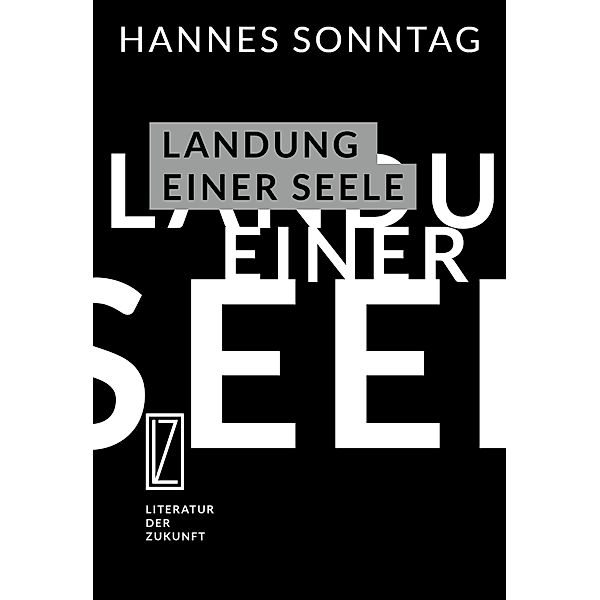 Landung einer Seele, Hannes Sonntag