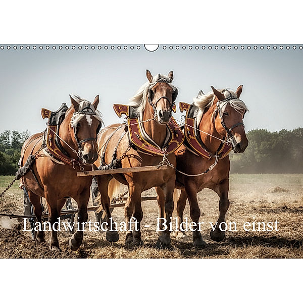 Landwirtschaft - Bilder von einst (Wandkalender 2019 DIN A3 quer), Alain Gaymard