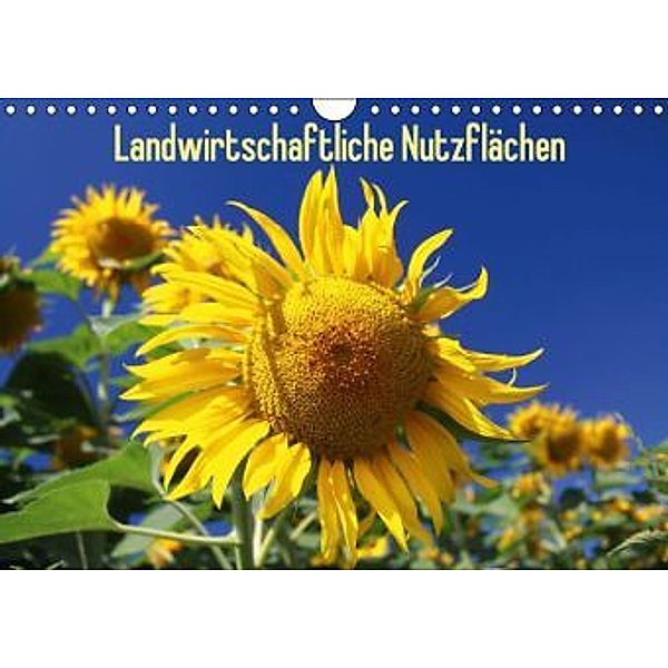 Landwirtschaftliche Nutzflächen (Wandkalender 2016 DIN A4 quer), Karina Baumgart