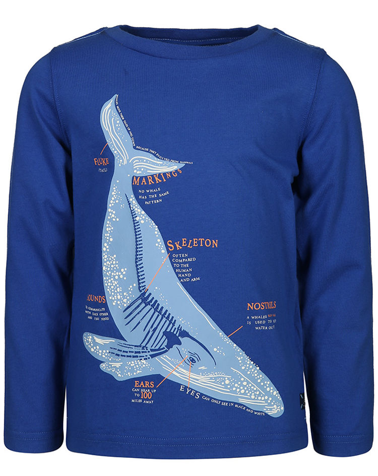 Langarmshirt in BLUEWHALE FINLAY – blau kaufen