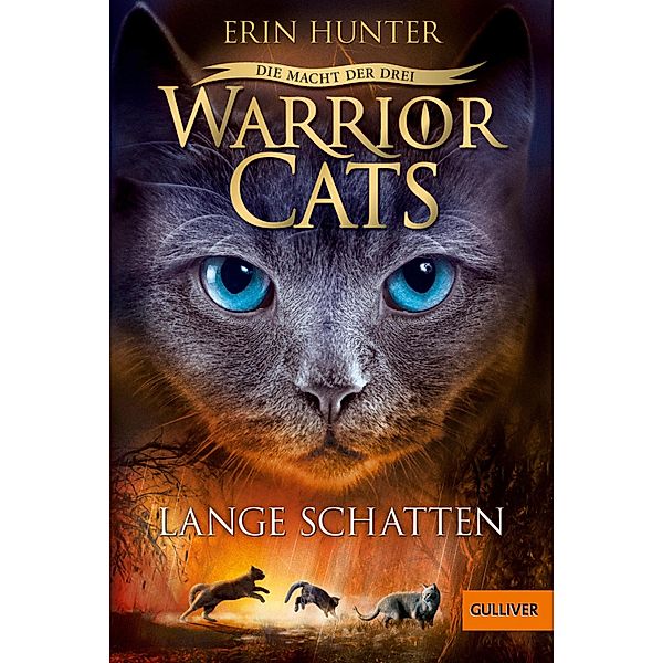 Lange Schatten / Warrior Cats Staffel 3 Bd.5, Erin Hunter