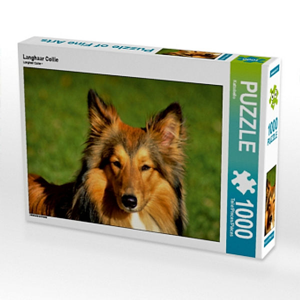 Langhaar Collie (Puzzle), Kattobello