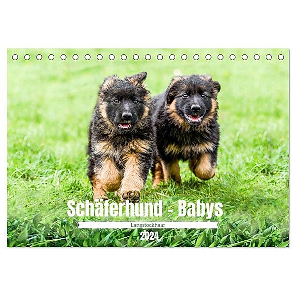 Langstockhaar - Schäferhund - Babys (Tischkalender 2024 DIN A5 quer), CALVENDO Monatskalender, Jana K. Fotografie