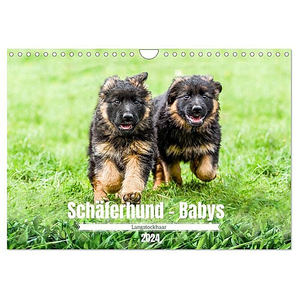 Langstockhaar - Schäferhund - Babys (Wandkalender 2024 DIN A4 quer), CALVENDO Monatskalender, Jana K. Fotografie