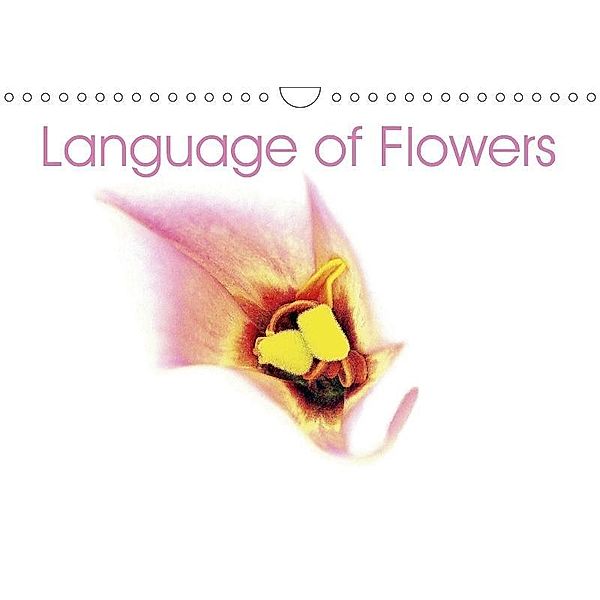 Language of Flowers (Wall Calendar 2017 DIN A4 Landscape), Audrius Labutis