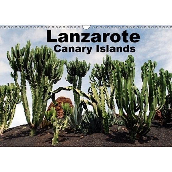 Lanzarote - Canary Islands (Wall Calendar 2017 DIN A3 Landscape), Peter Schneider