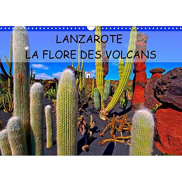 LANZAROTE LA FLORE DES VOLCANS (Calendrier mural 2023 DIN A3 horizontal), jean-luc bohin