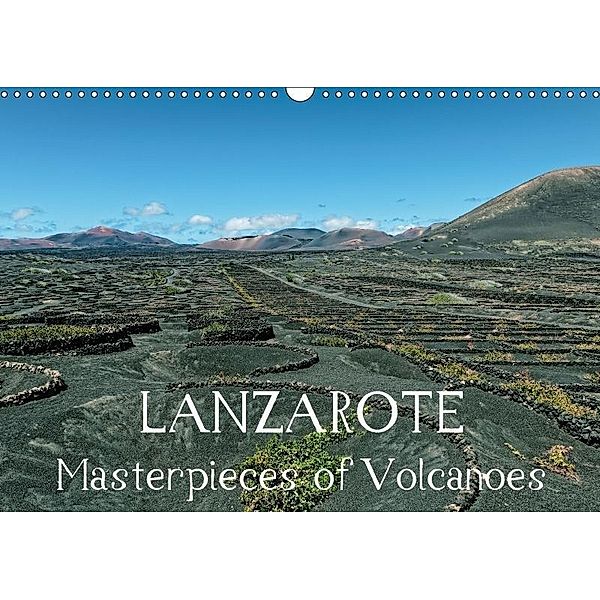 LANZAROTE Masterpieces of Volcanoes (Wall Calendar 2017 DIN A3 Landscape), Dieter Meyer