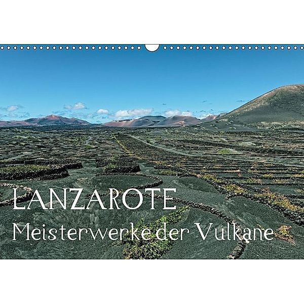 Lanzarote Meisterwerke der Vulkane (Wandkalender 2017 DIN A3 quer), Dieter Meyer