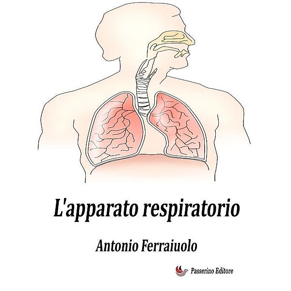 L'apparato respiratorio, Antonio Ferraiuolo