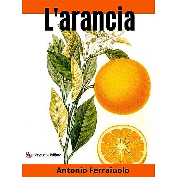 L'arancia, Antonio Ferraiuolo