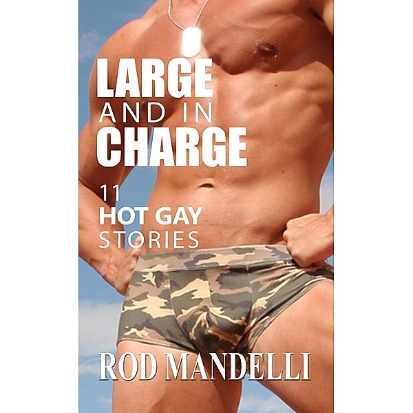 Large and in Charge! 11 Hot Gay Stories, Rod Mandelli