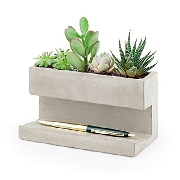 Large Concrete Desktop Planter