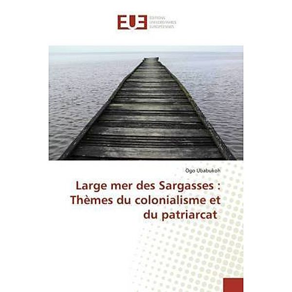 Large mer des Sargasses : Thèmes du colonialisme et du patriarcat, Ogo Ubabukoh