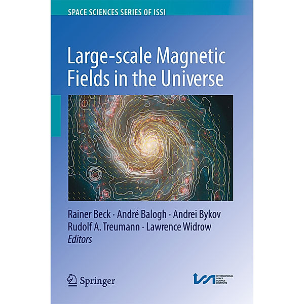 Large-scale Magnetic Fields in the Universe