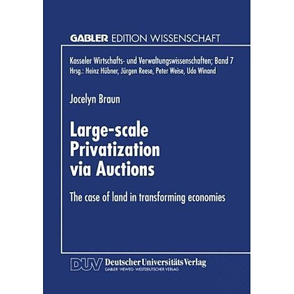 Large-scale Privatization via Auctions, Jocelyn Braun