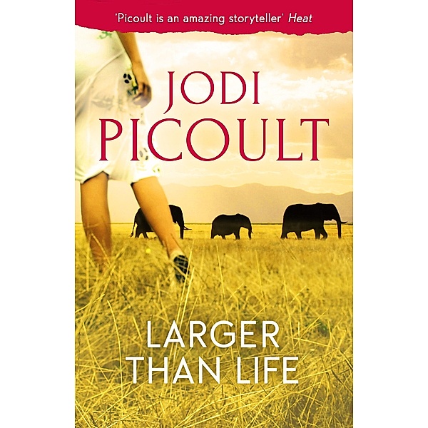 Larger Than Life, Jodi Picoult