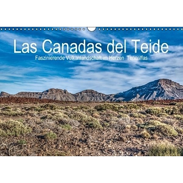 Las Canadas del Teide - Faszinierende Vulkanlandschaft im Herzen Teneriffas (Wandkalender 2016 DIN A3 quer)