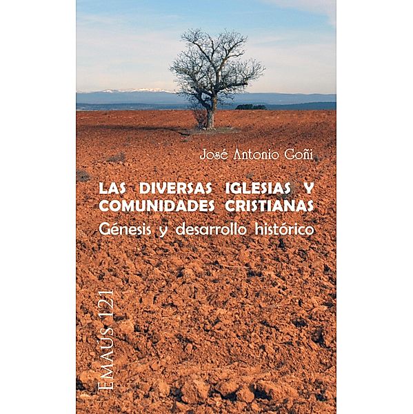 Las diversas Iglesias y comunidades cristianas / EMAUS Bd.121, José Antonio Goñi Beasoain de Paulorena