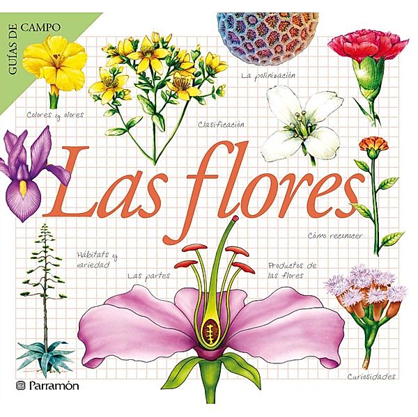 Las flores / Guías de campo, Maria Àngels Julivert