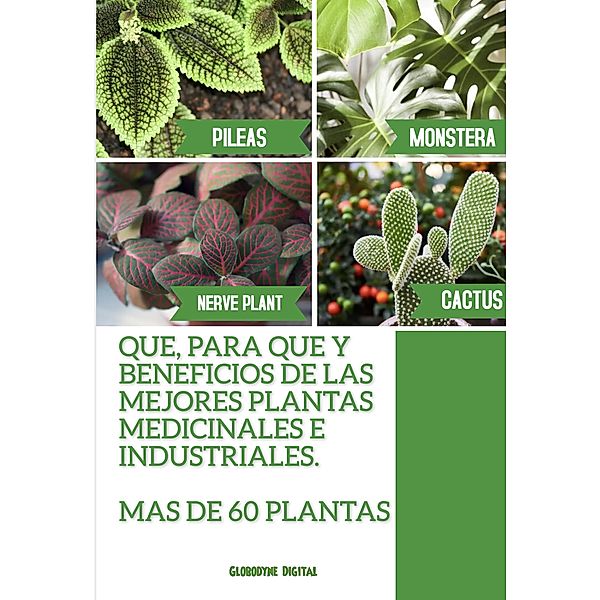 Las mejores plantas medicinales e industriales, Globodyne Digital