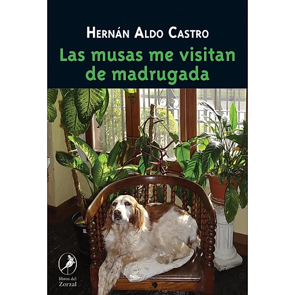 Las musas me visitan de madrugada, Hernán Castro