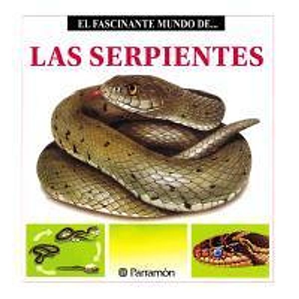 Las Serpientes, Maria Àngels Julivert